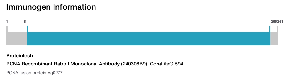 PCNA Recombinant Rabbit Monoclonal Antibody (240306B9), CoraLite&reg; 594