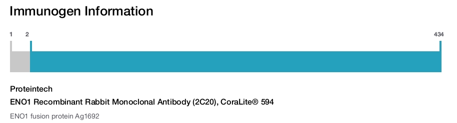 ENO1 Recombinant Rabbit Monoclonal Antibody (2C20), CoraLite&reg; 594