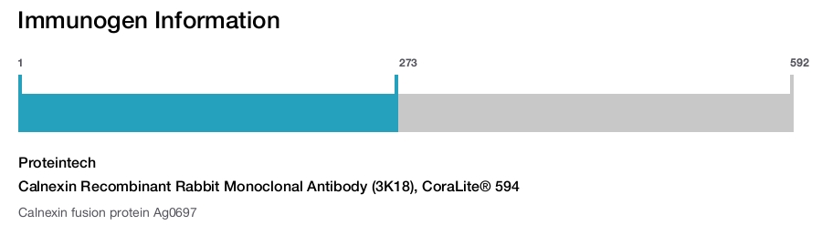 Calnexin Recombinant Rabbit Monoclonal Antibody (3K18), CoraLite&reg; 594