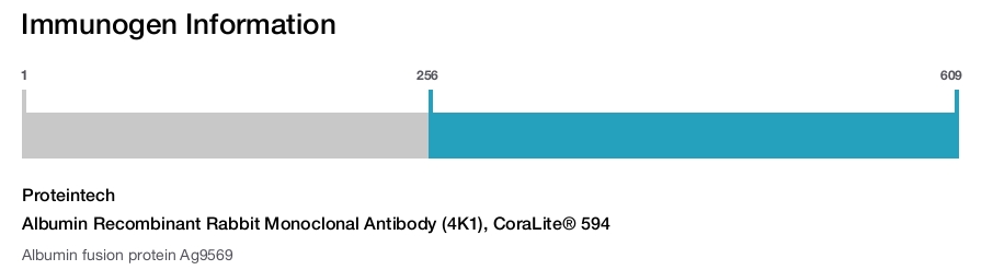 Albumin Recombinant Rabbit Monoclonal Antibody (4K1), CoraLite&reg; 594