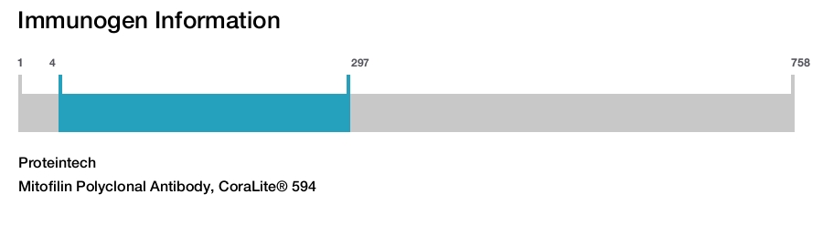 Mitofilin Polyclonal Antibody, CoraLite&reg; 594