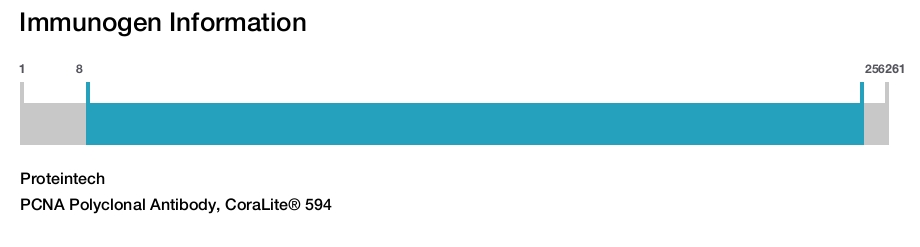 PCNA Polyclonal Antibody, CoraLite&reg; 594