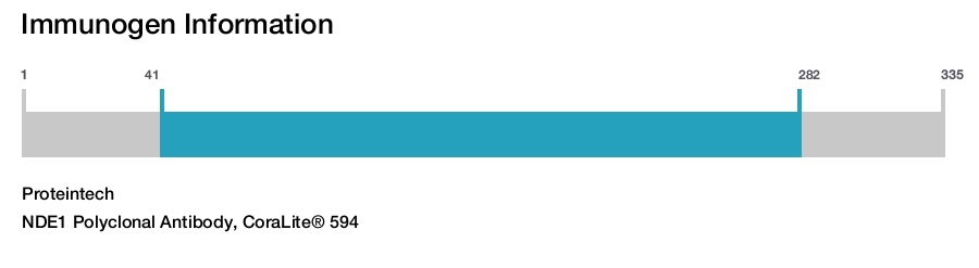 NDE1 Polyclonal Antibody, CoraLite&reg; 594