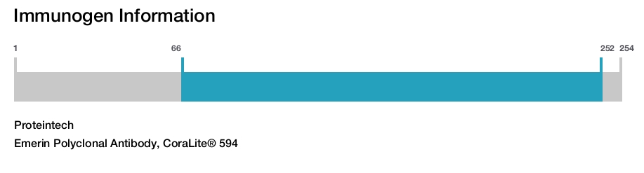 Emerin Polyclonal Antibody, CoraLite&reg; 594