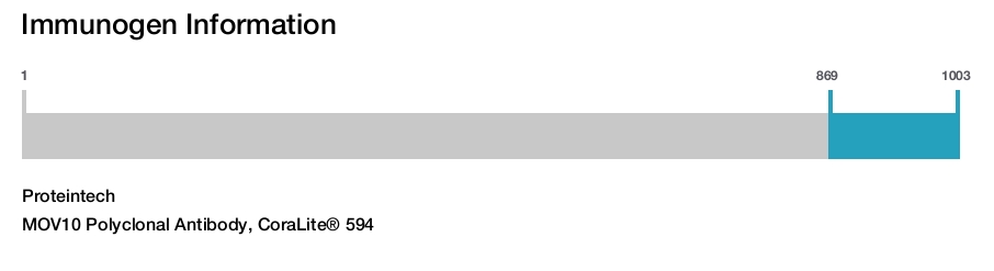 MOV10 Polyclonal Antibody, CoraLite&reg; 594