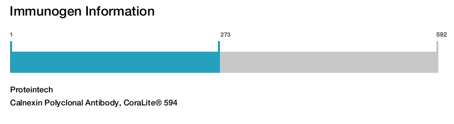 Calnexin Polyclonal Antibody, CoraLite&reg; 594