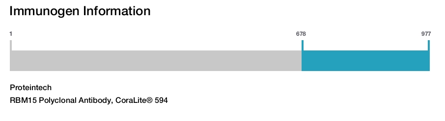 RBM15 Polyclonal Antibody, CoraLite® 594