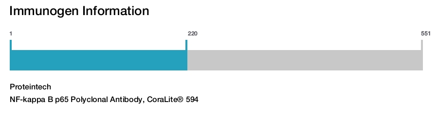 NF-kappa B p65 Polyclonal Antibody, CoraLite&reg; 594