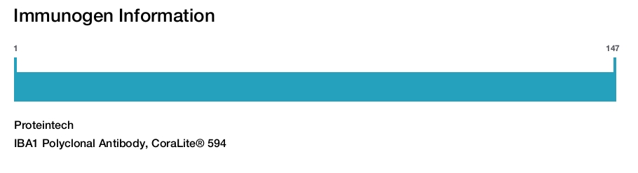IBA1 Polyclonal Antibody, CoraLite&reg; 594