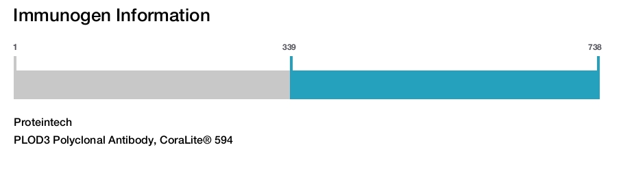 PLOD3 Polyclonal Antibody, CoraLite&reg; 594