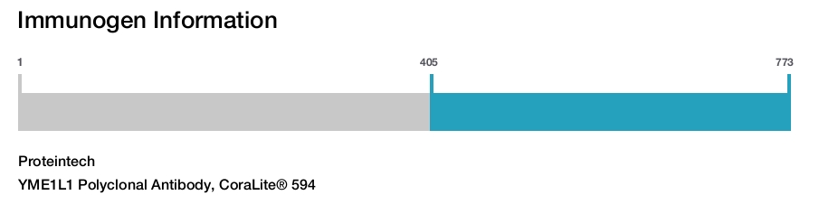 YME1L1 Polyclonal Antibody, CoraLite&reg; 594