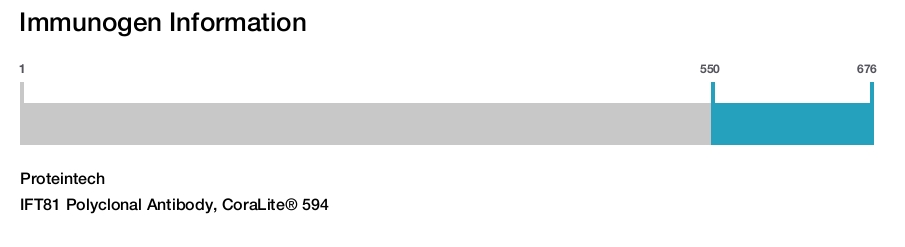 IFT81 Polyclonal Antibody, CoraLite&reg; 594