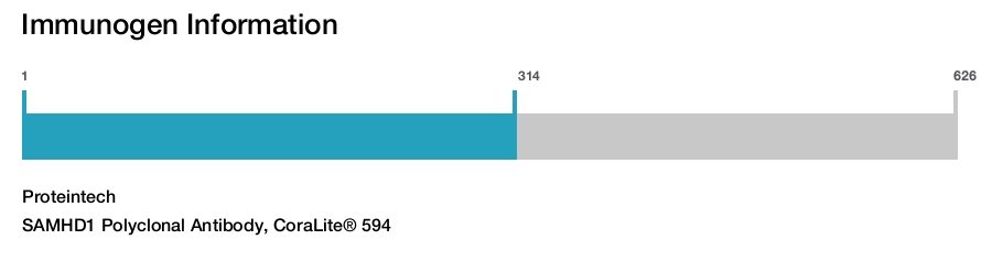 SAMHD1 Polyclonal Antibody, CoraLite&reg; 594