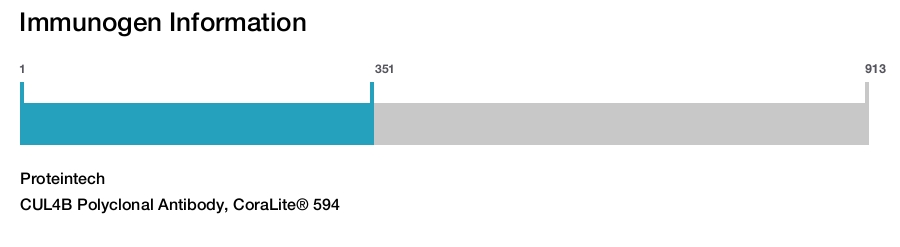 CUL4B Polyclonal Antibody, CoraLite&reg; 594