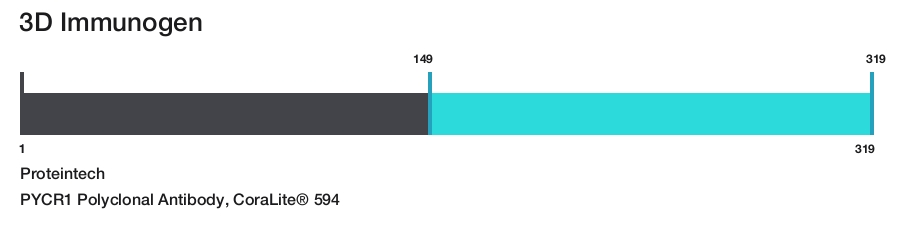 PYCR1 Polyclonal Antibody, CoraLite&reg; 594