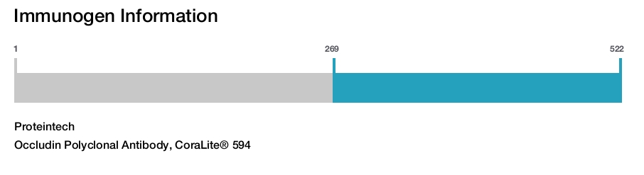Occludin Polyclonal Antibody, CoraLite&reg; 594