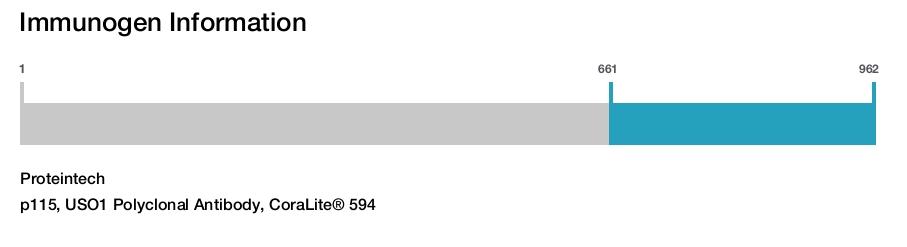 p115, USO1 Polyclonal Antibody, CoraLite&reg; 594