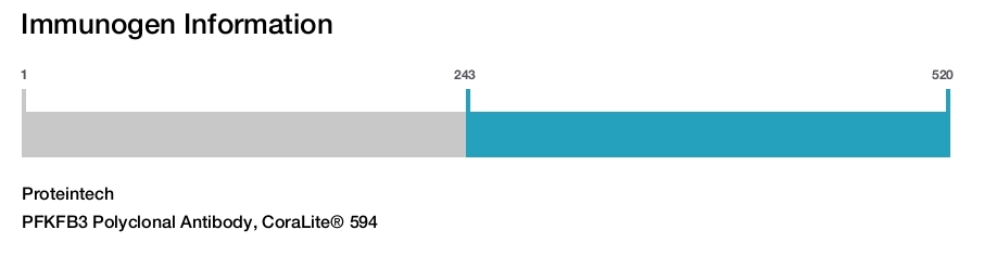 PFKFB3 Polyclonal Antibody, CoraLite&reg; 594
