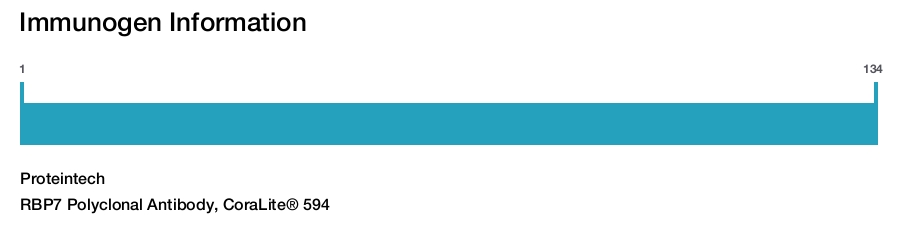 RBP7 Polyclonal Antibody, CoraLite&reg; 594