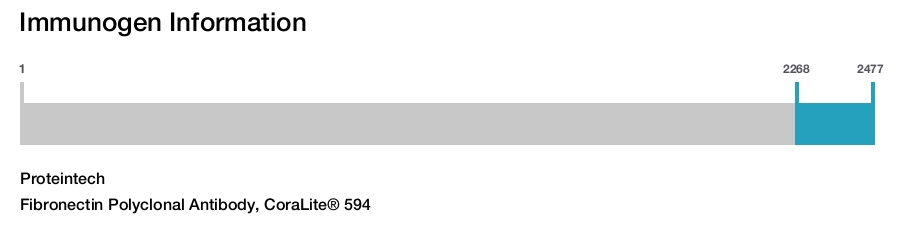 Fibronectin Polyclonal Antibody, CoraLite&reg; 594