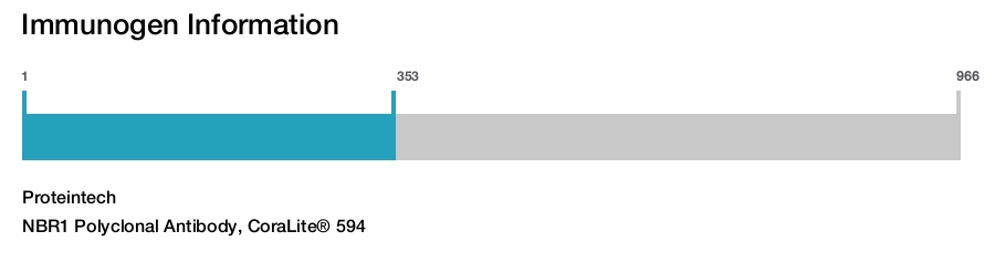 NBR1 Polyclonal Antibody, CoraLite&reg; 594