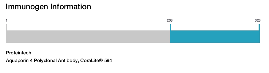 Aquaporin 4 Polyclonal Antibody, CoraLite&reg; 594