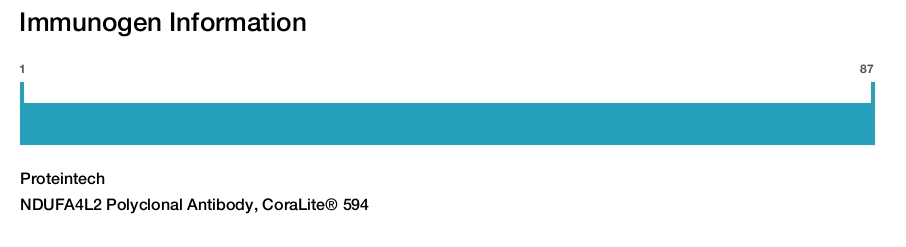 NDUFA4L2 Polyclonal Antibody, CoraLite&reg; 594