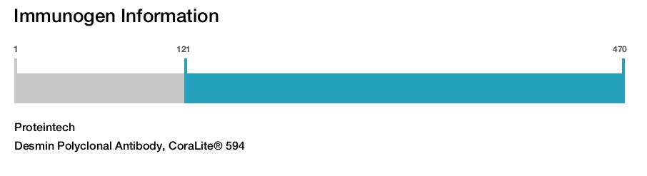 Desmin Polyclonal Antibody, CoraLite&reg; 594