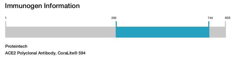 ACE2 Polyclonal Antibody, CoraLite&reg; 594