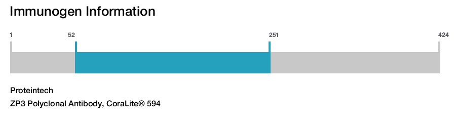 ZP3 Polyclonal Antibody, CoraLite&reg; 594