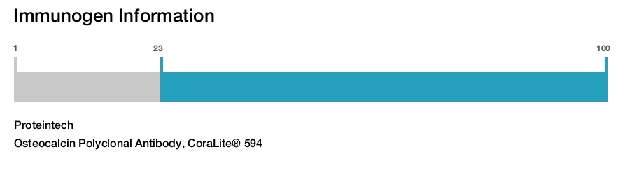 Osteocalcin Polyclonal Antibody, CoraLite&reg; 594