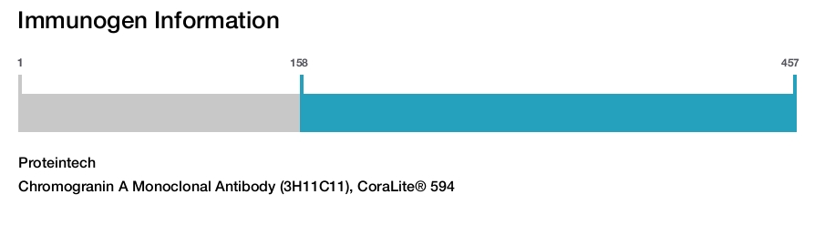 Chromogranin A Monoclonal Antibody (3H11C11), CoraLite&reg; 594