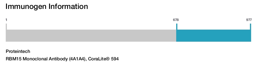 RBM15 Monoclonal Antibody (4A1A4), CoraLite® 594