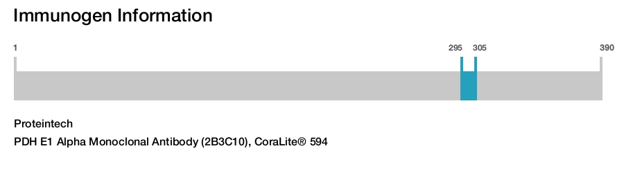 PDH E1 Alpha Monoclonal Antibody (2B3C10), CoraLite&reg; 594