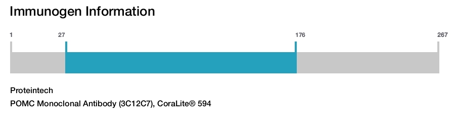 POMC Monoclonal Antibody (3C12C7), CoraLite&reg; 594