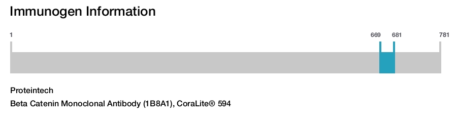 Beta Catenin Monoclonal Antibody (1B8A1), CoraLite&reg; 594