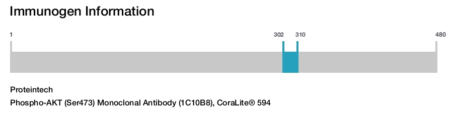 Phospho-AKT (Ser473) Monoclonal Antibody (1C10B8), CoraLite&reg; 594