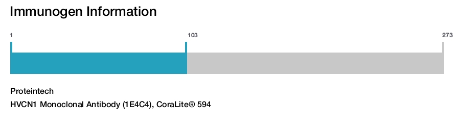 HVCN1 Monoclonal Antibody (1E4C4), CoraLite&reg; 594