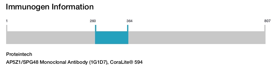 AP5Z1/SPG48 Monoclonal Antibody (1G1D7), CoraLite&reg; 594