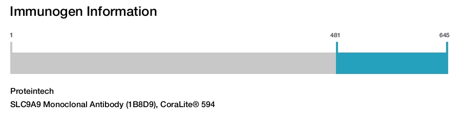 SLC9A9 Monoclonal Antibody (1B8D9), CoraLite&reg; 594