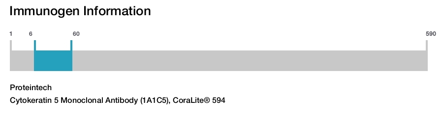 Cytokeratin 5 Monoclonal Antibody (1A1C5), CoraLite&reg; 594