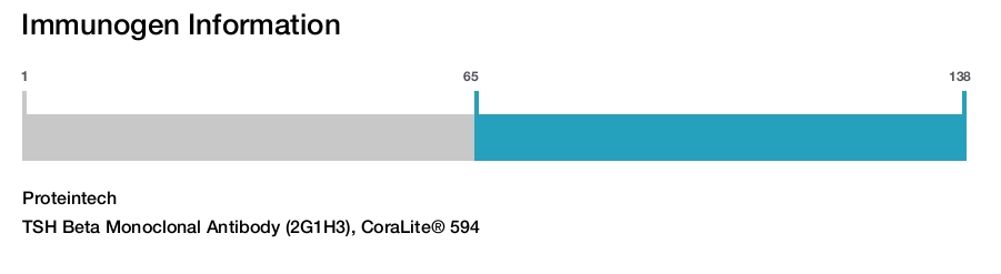 TSH Beta Monoclonal Antibody (2G1H3), CoraLite&reg; 594