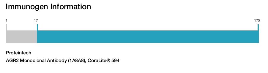 AGR2 Monoclonal Antibody (1A8A8), CoraLite® 594