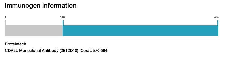 CDR2L Monoclonal Antibody (2E12D10), CoraLite&reg; 594