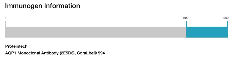 AQP1 Monoclonal Antibody (2E5D6), CoraLite&reg; 594