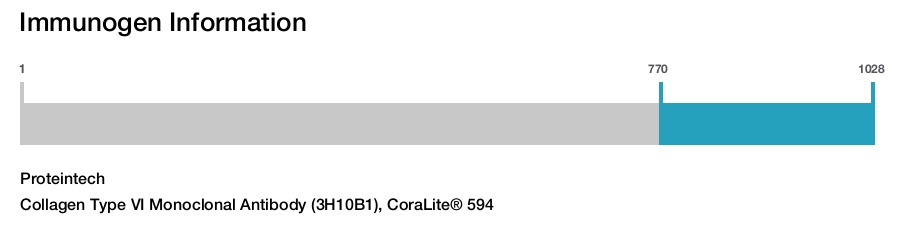 Collagen Type VI Monoclonal Antibody (3H10B1), CoraLite® 594