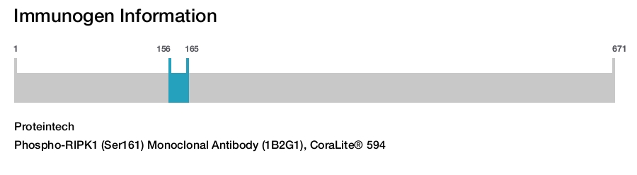 Phospho-RIPK1 (Ser161) Monoclonal Antibody (1B2G1), CoraLite&reg; 594