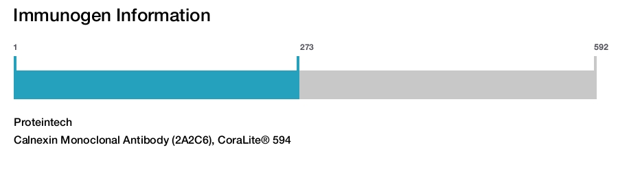 Calnexin Monoclonal Antibody (2A2C6), CoraLite&reg; 594