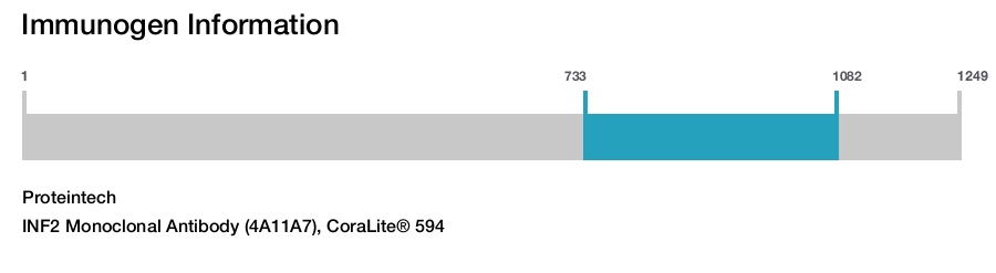 INF2 Monoclonal Antibody (4A11A7), CoraLite&reg; 594