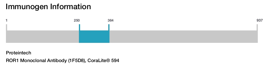 ROR1 Monoclonal Antibody (1F5D8), CoraLite® 594